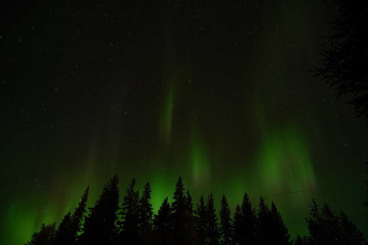 Yellowhead Motel Valemount Dış mekan fotoğraf